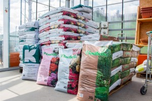 VrtnarijaBensa-7136 (Large)    